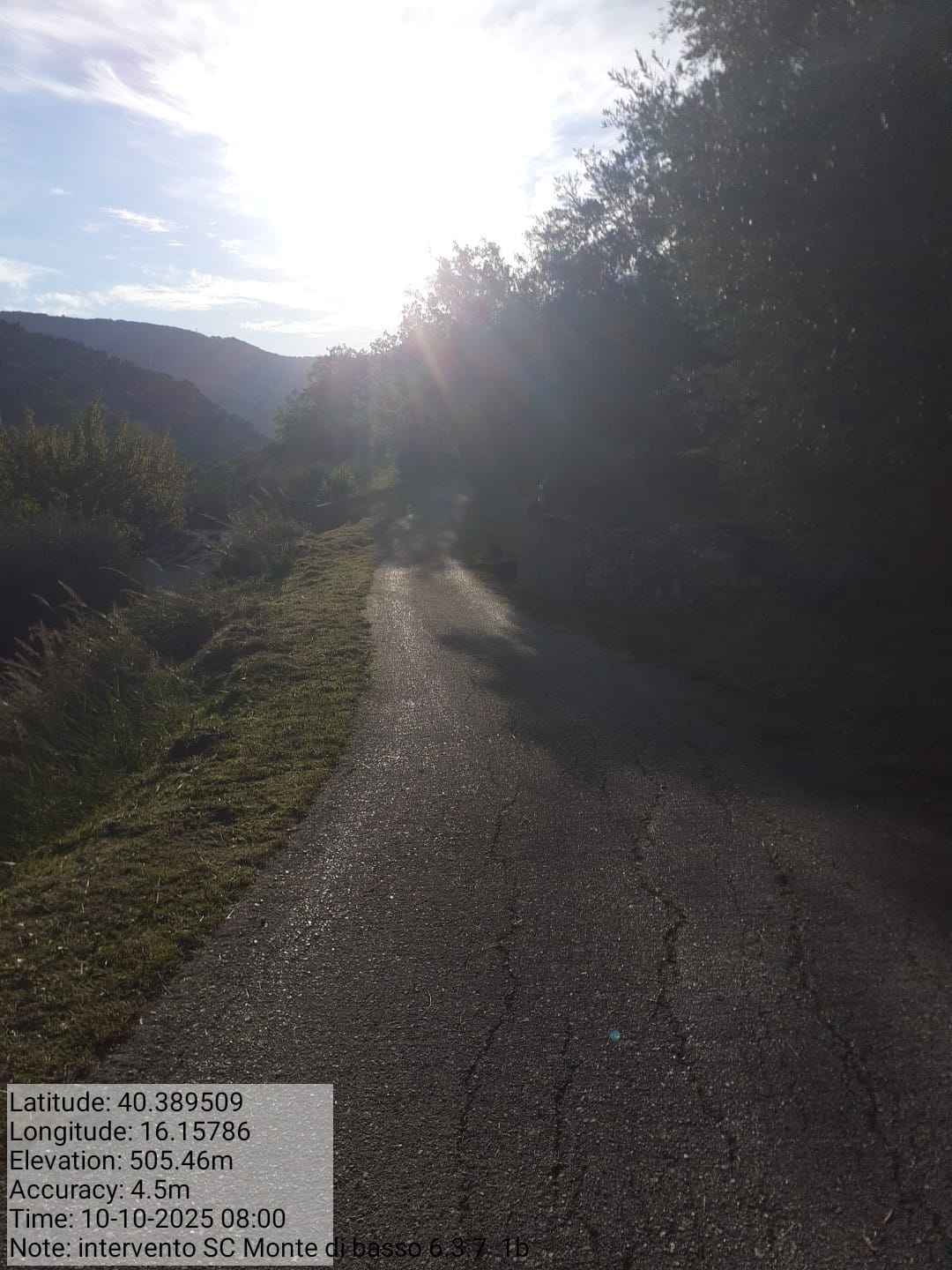 Galleria Fotografica Immagine