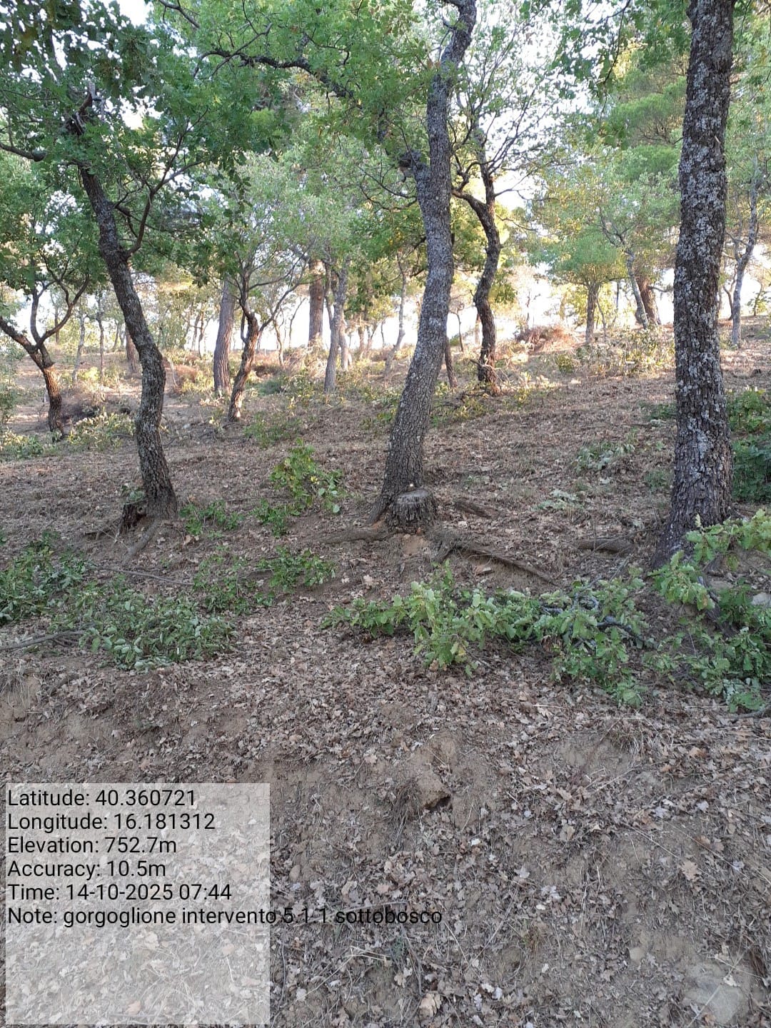 Galleria Fotografica Immagine