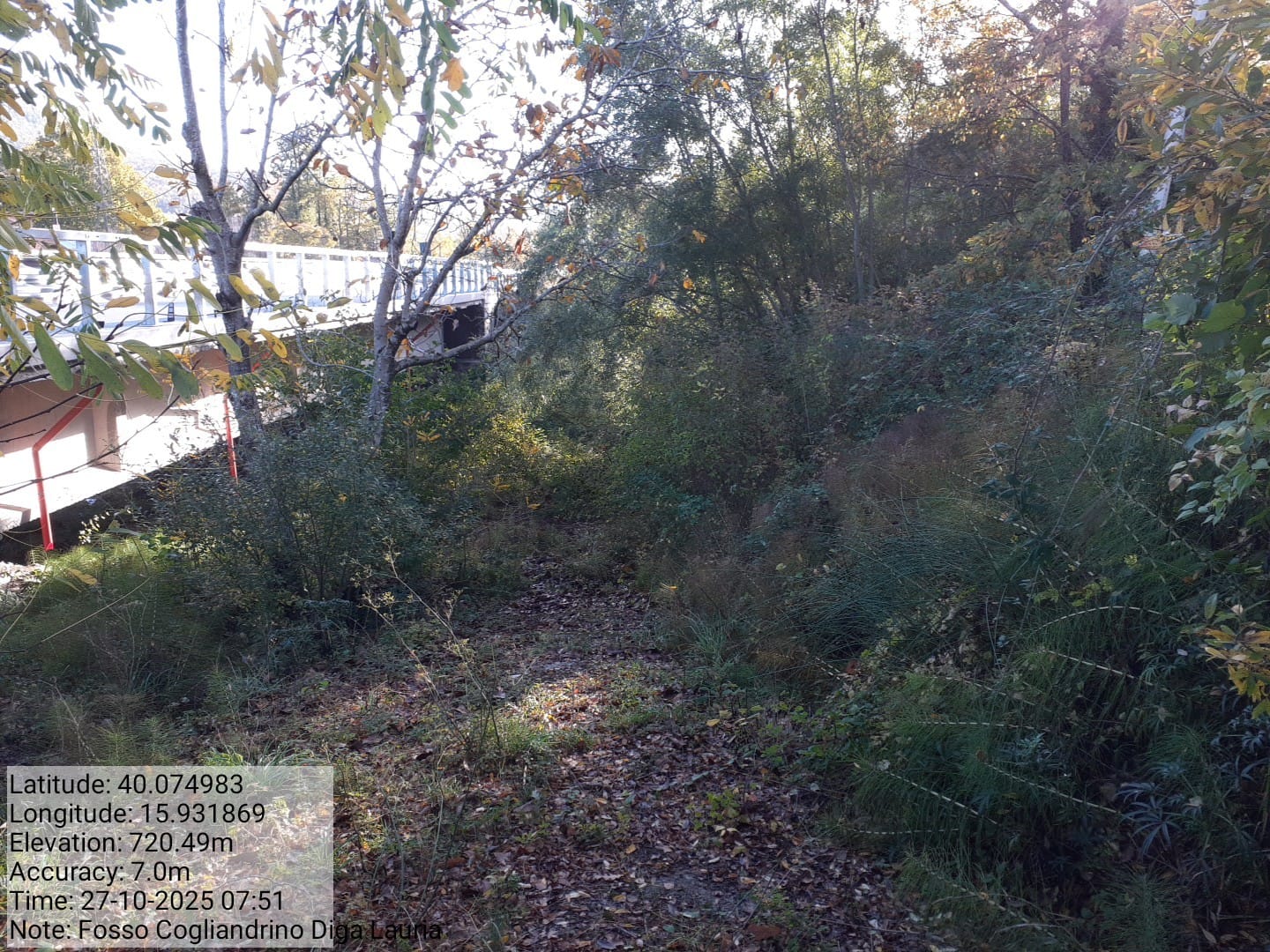 Galleria Fotografica Immagine