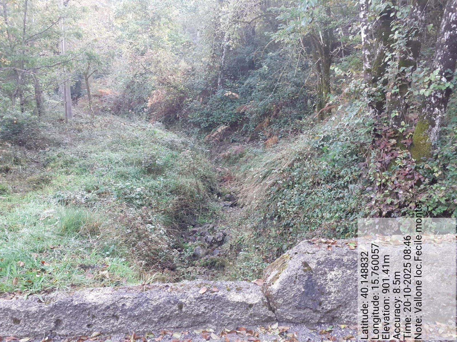 Galleria Fotografica Immagine