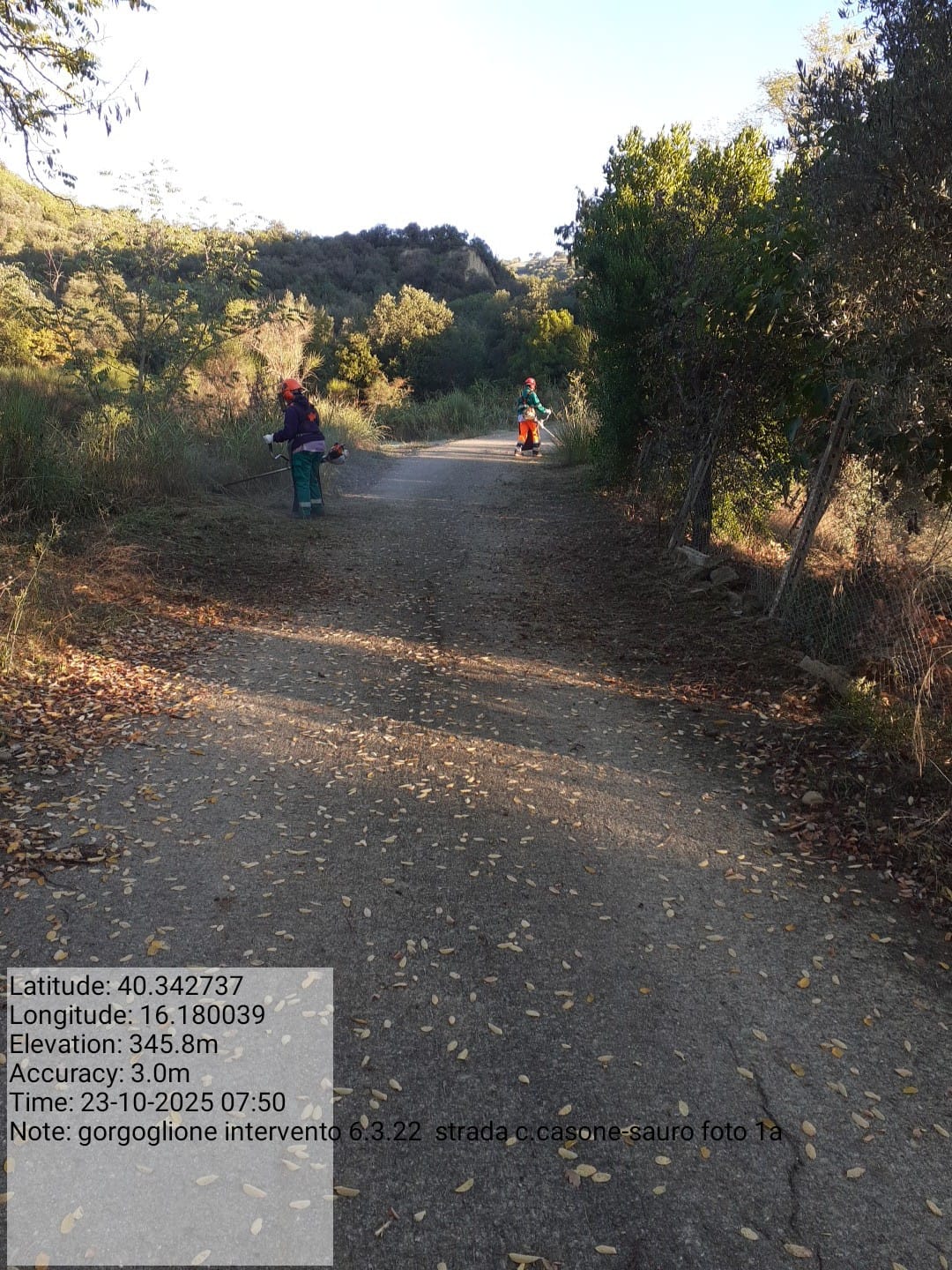 Galleria Fotografica Immagine