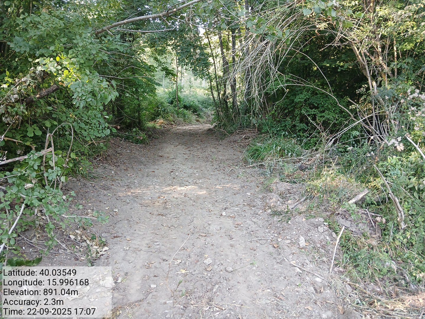 Galleria Fotografica Immagine