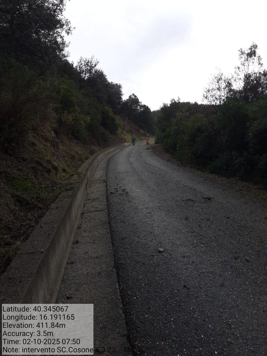 Galleria Fotografica Immagine