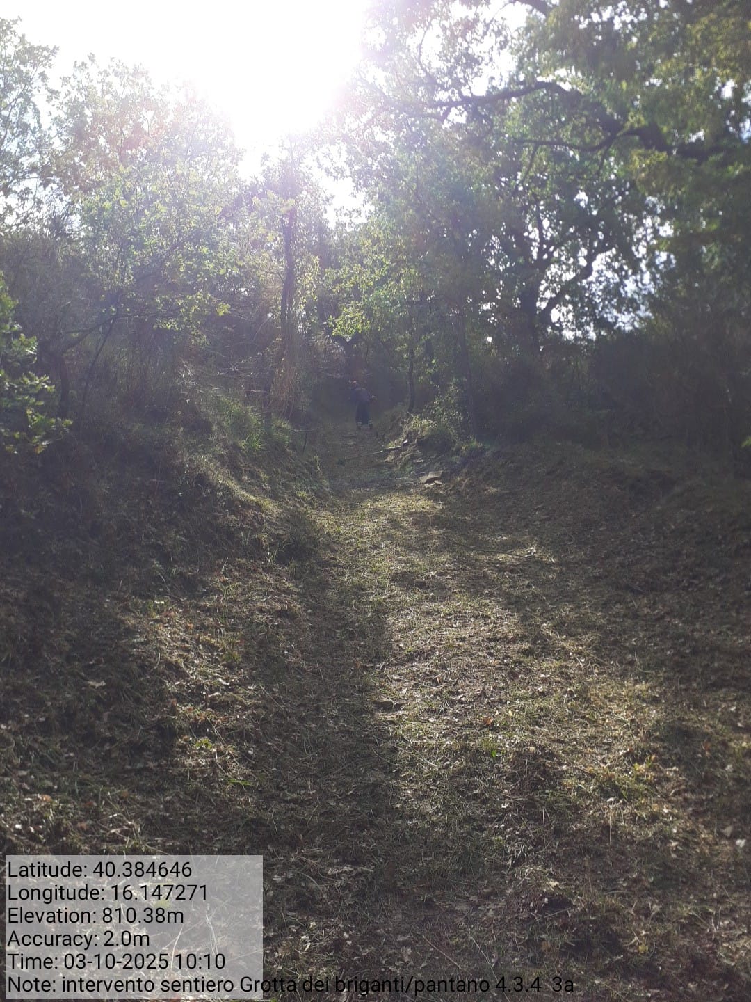 Galleria Fotografica Immagine