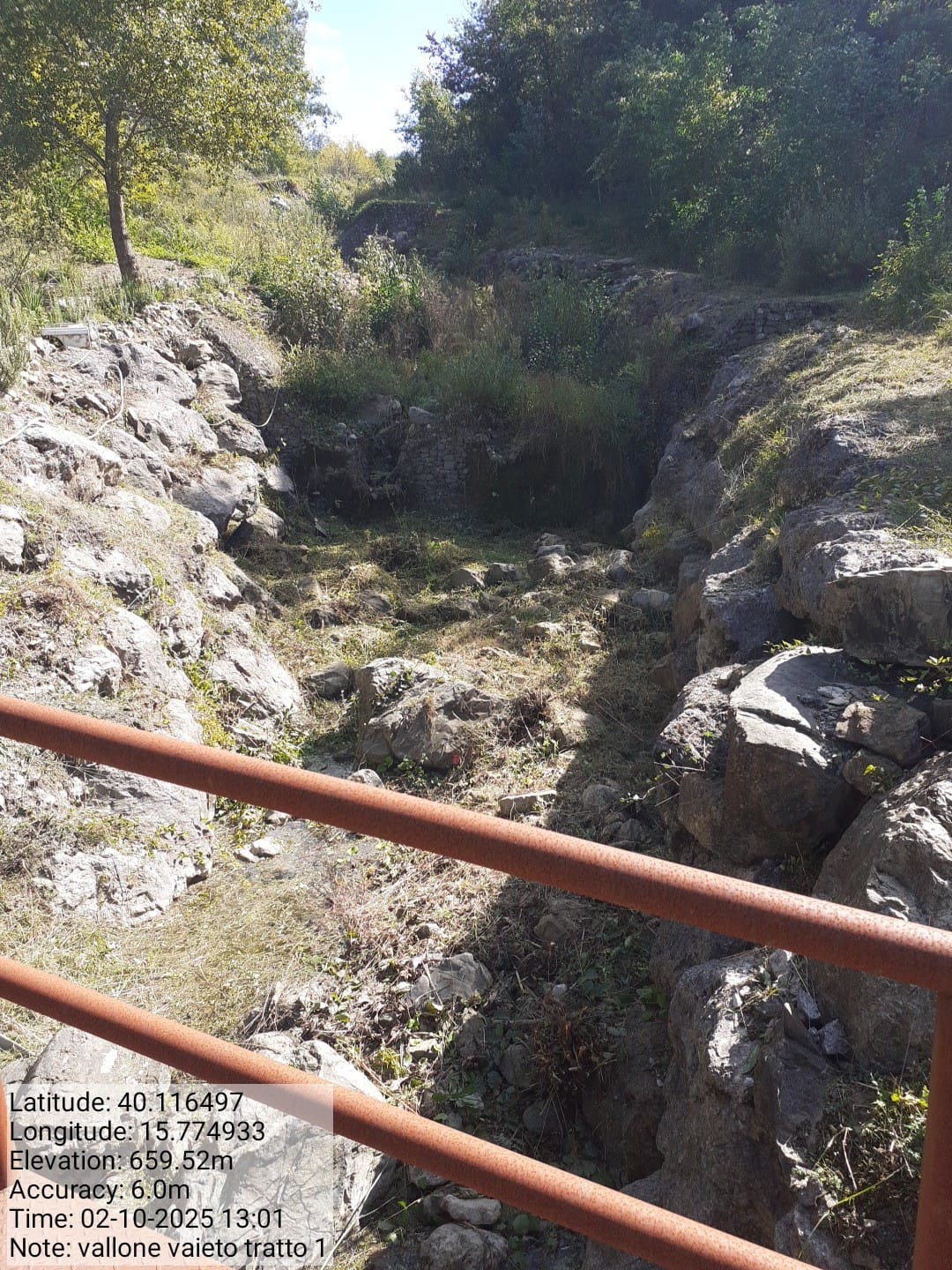 Galleria Fotografica Immagine