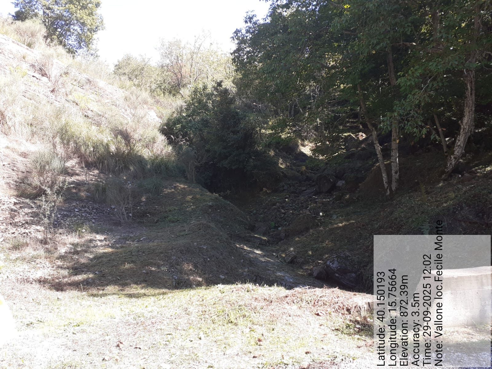 Galleria Fotografica Immagine