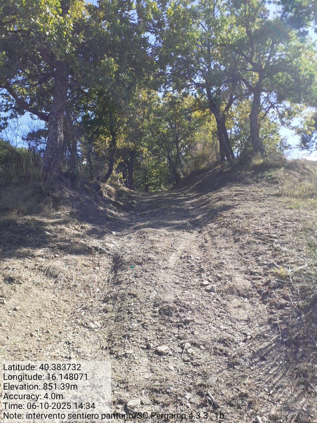 Galleria Fotografica Immagine