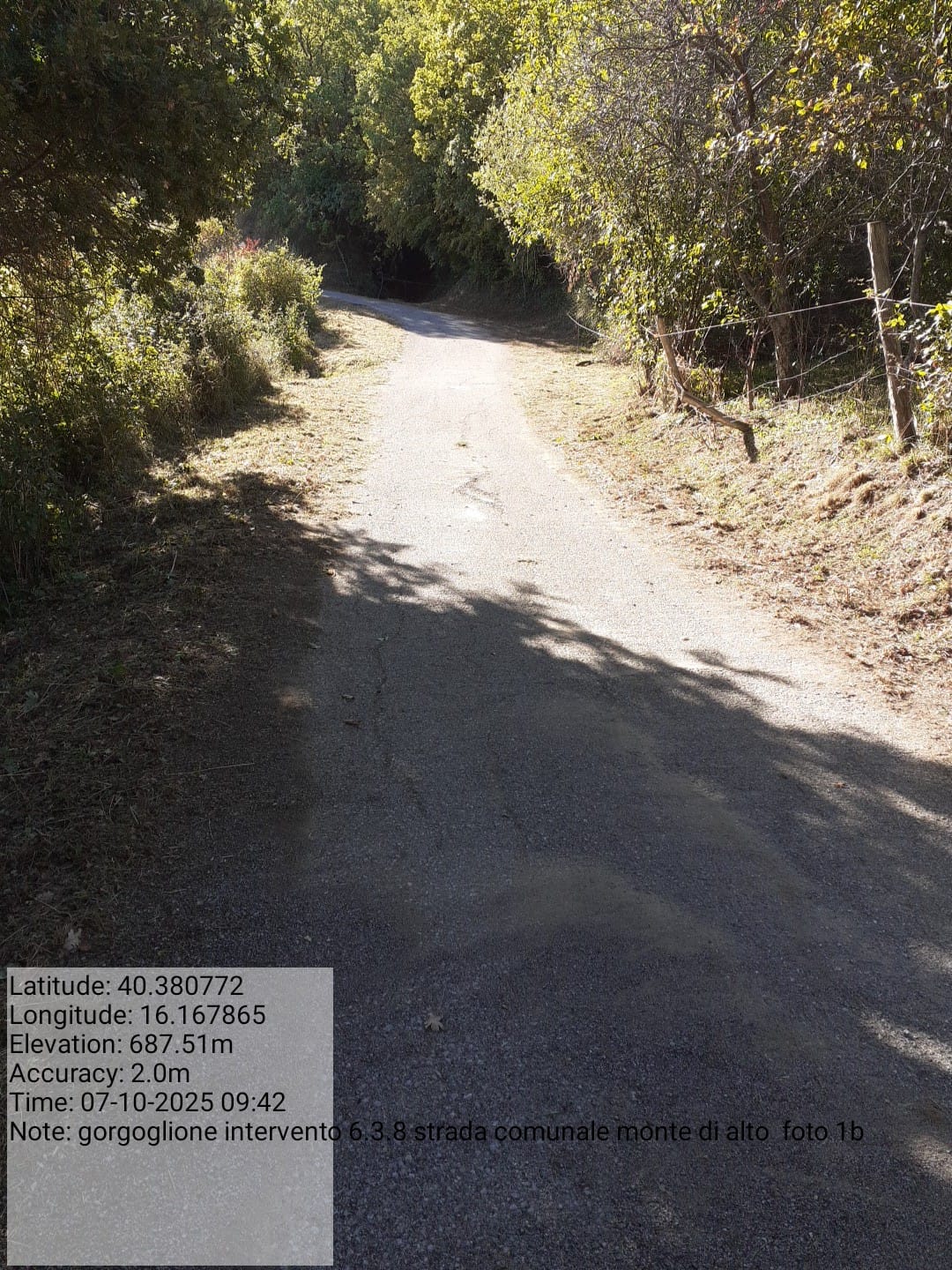 Galleria Fotografica Immagine