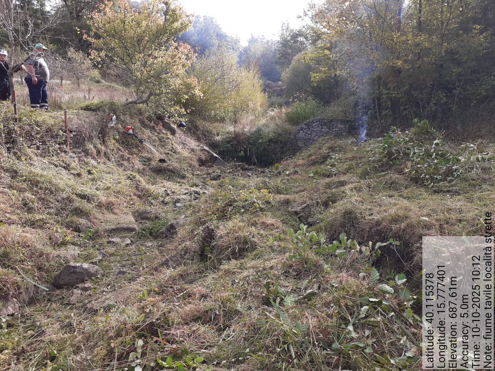 Galleria Fotografica Immagine