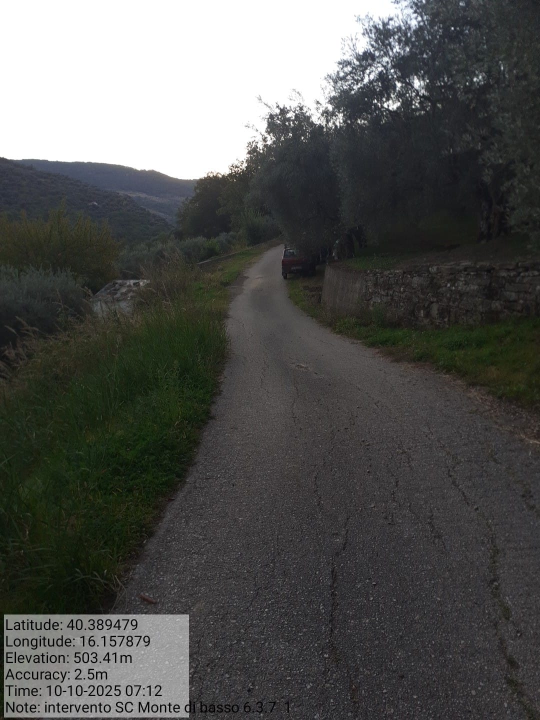 Galleria Fotografica Immagine