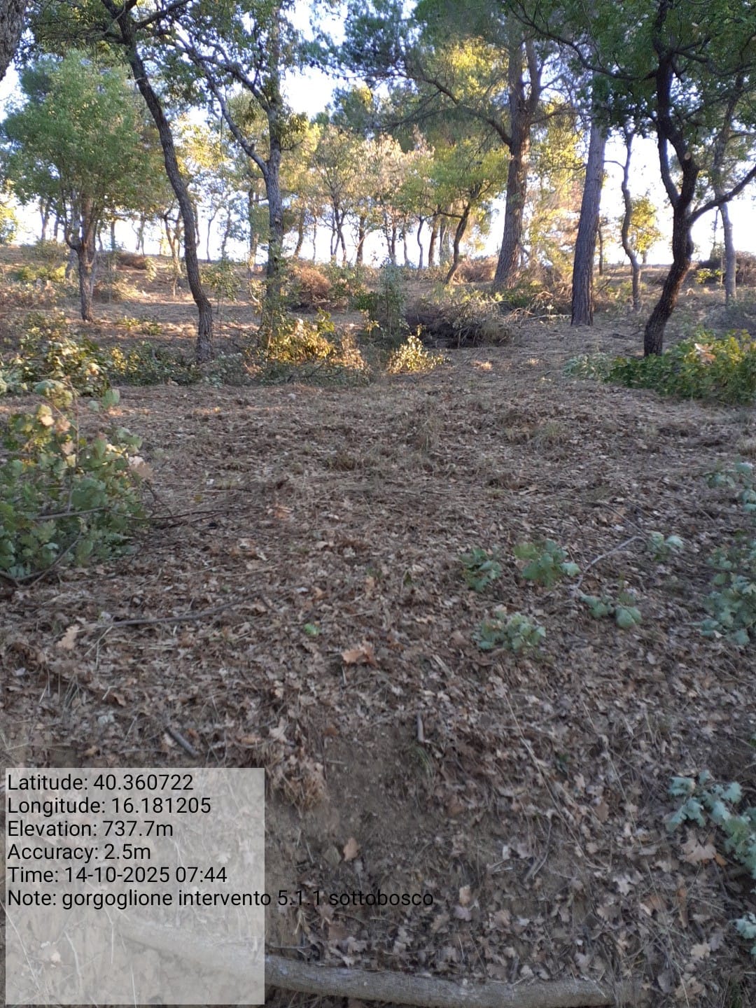 Galleria Fotografica Immagine