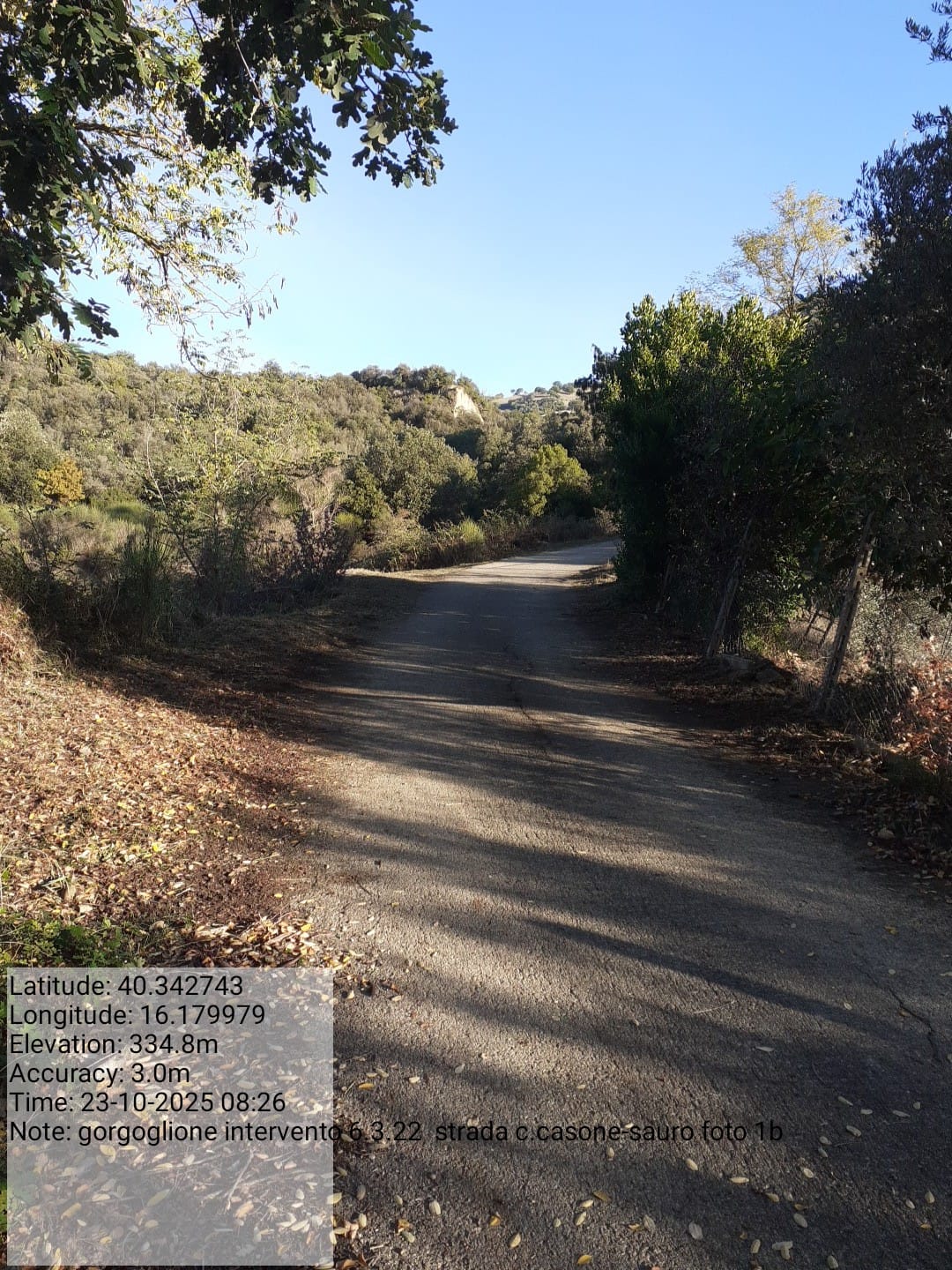 Galleria Fotografica Immagine