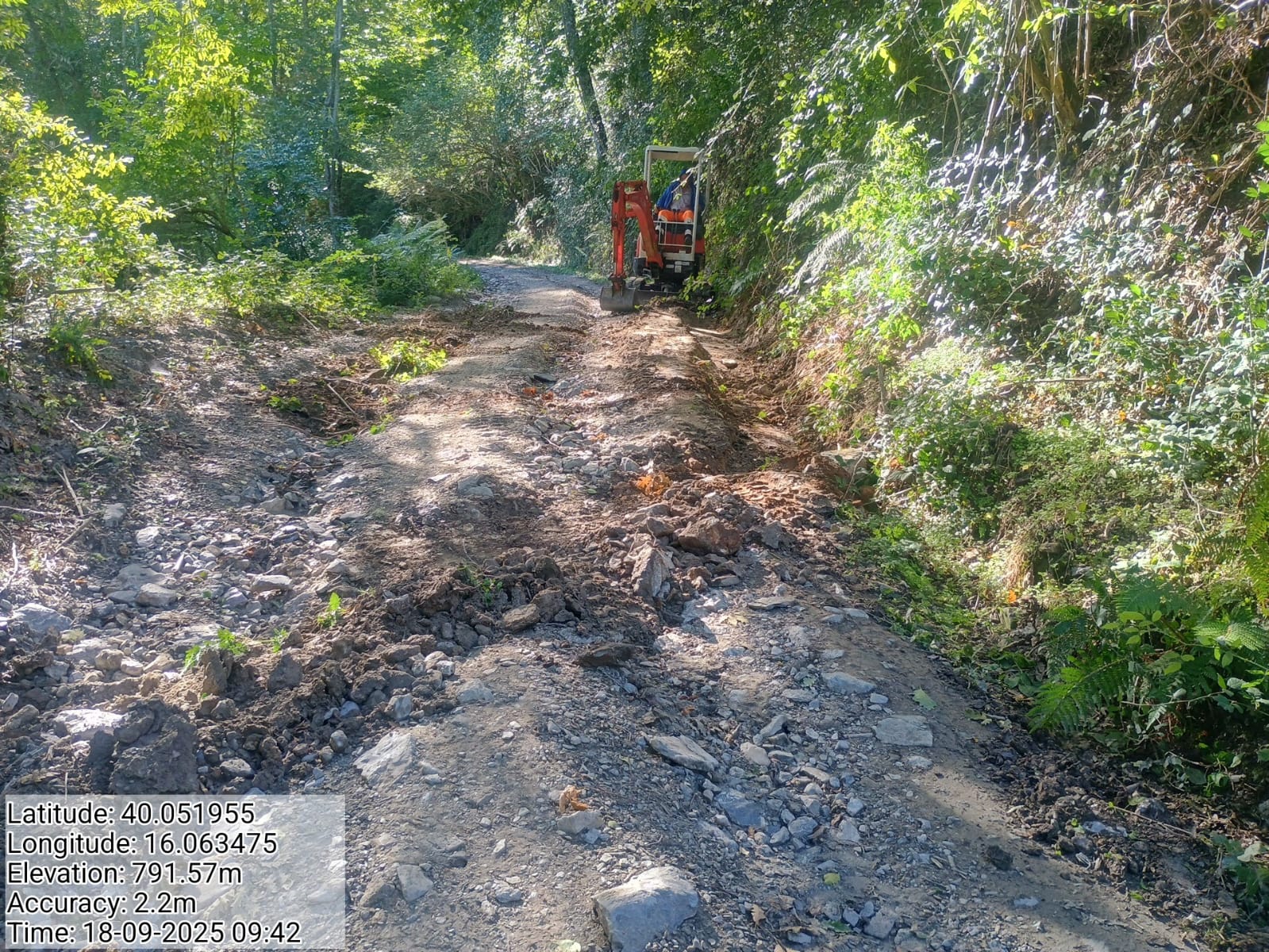 Galleria Fotografica Immagine