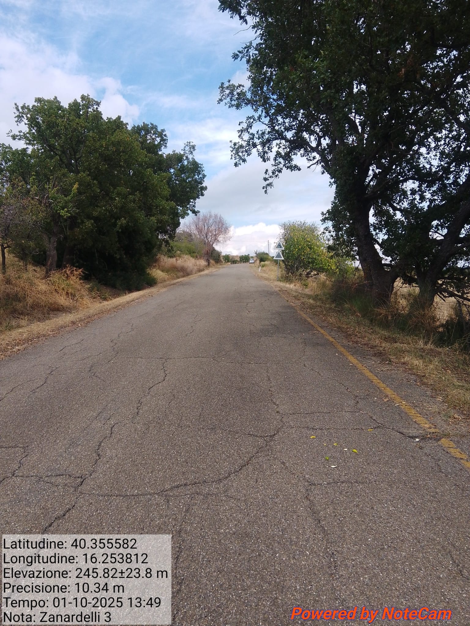 Galleria Fotografica Immagine