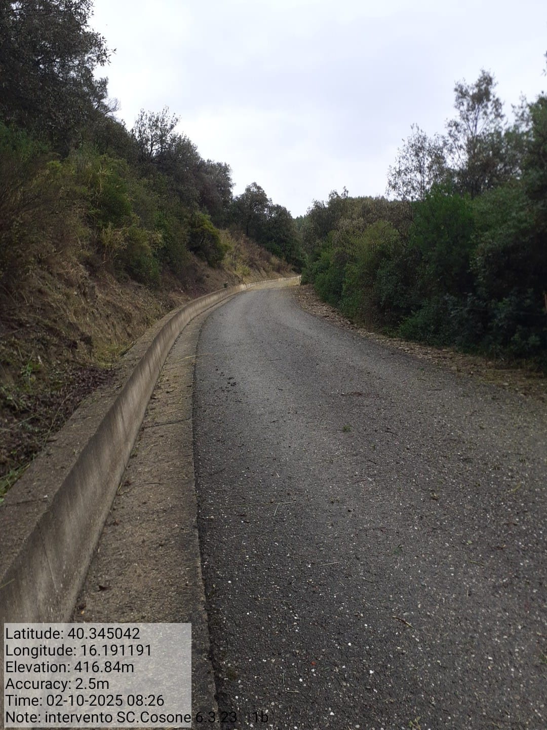 Galleria Fotografica Immagine