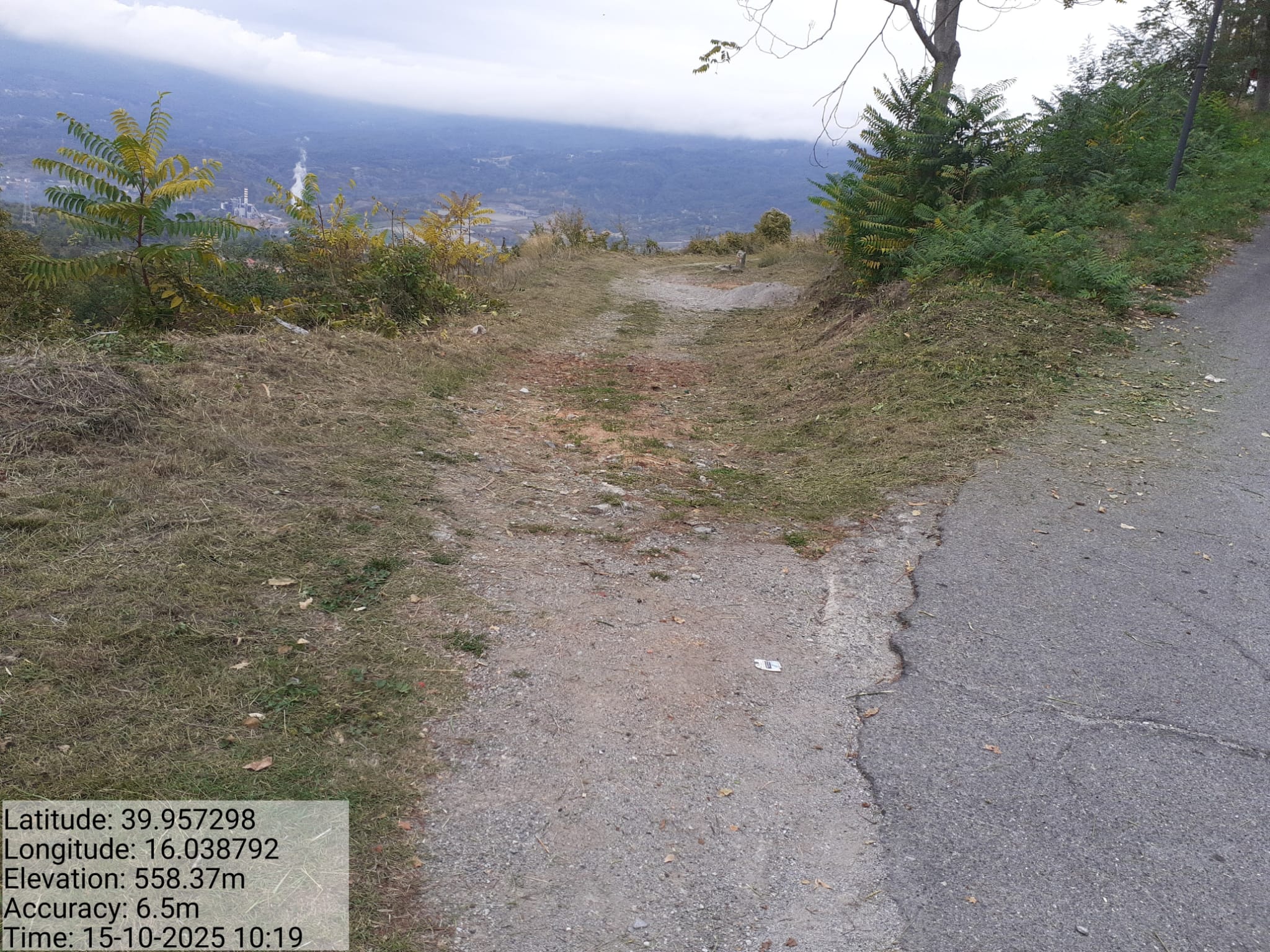 Galleria Fotografica Immagine