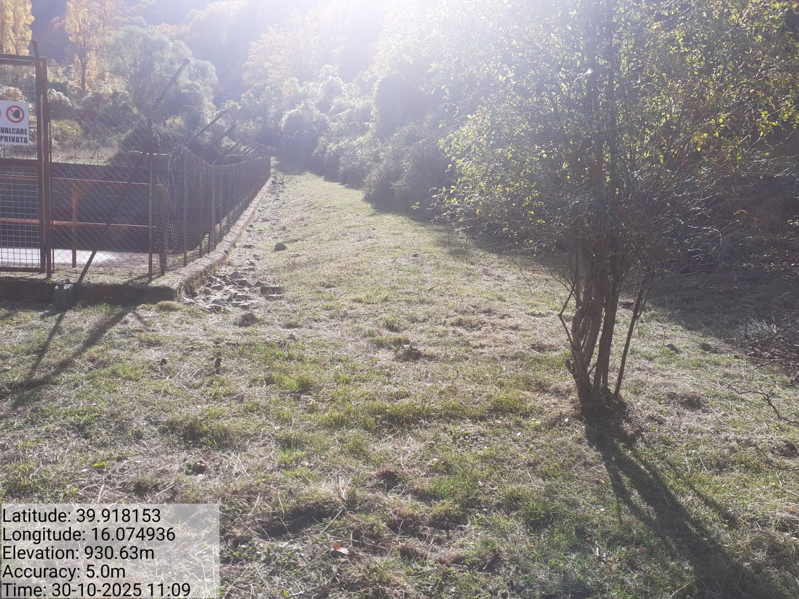 Galleria Fotografica Immagine