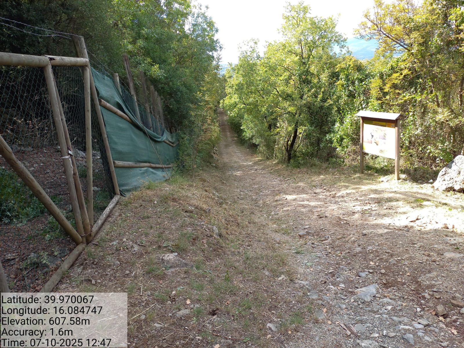 Galleria Fotografica Immagine