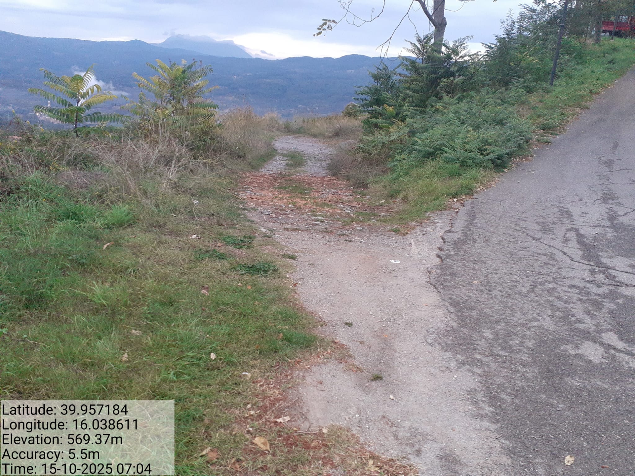 Galleria Fotografica Immagine