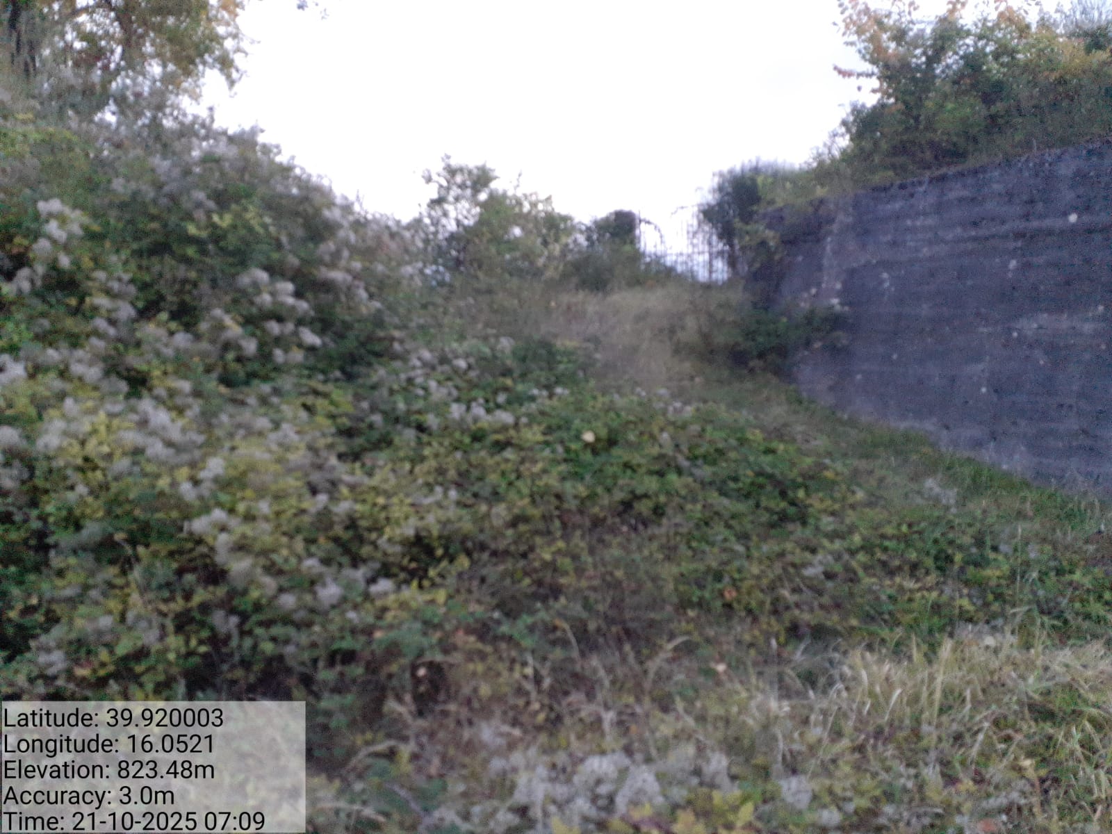 Galleria Fotografica Immagine