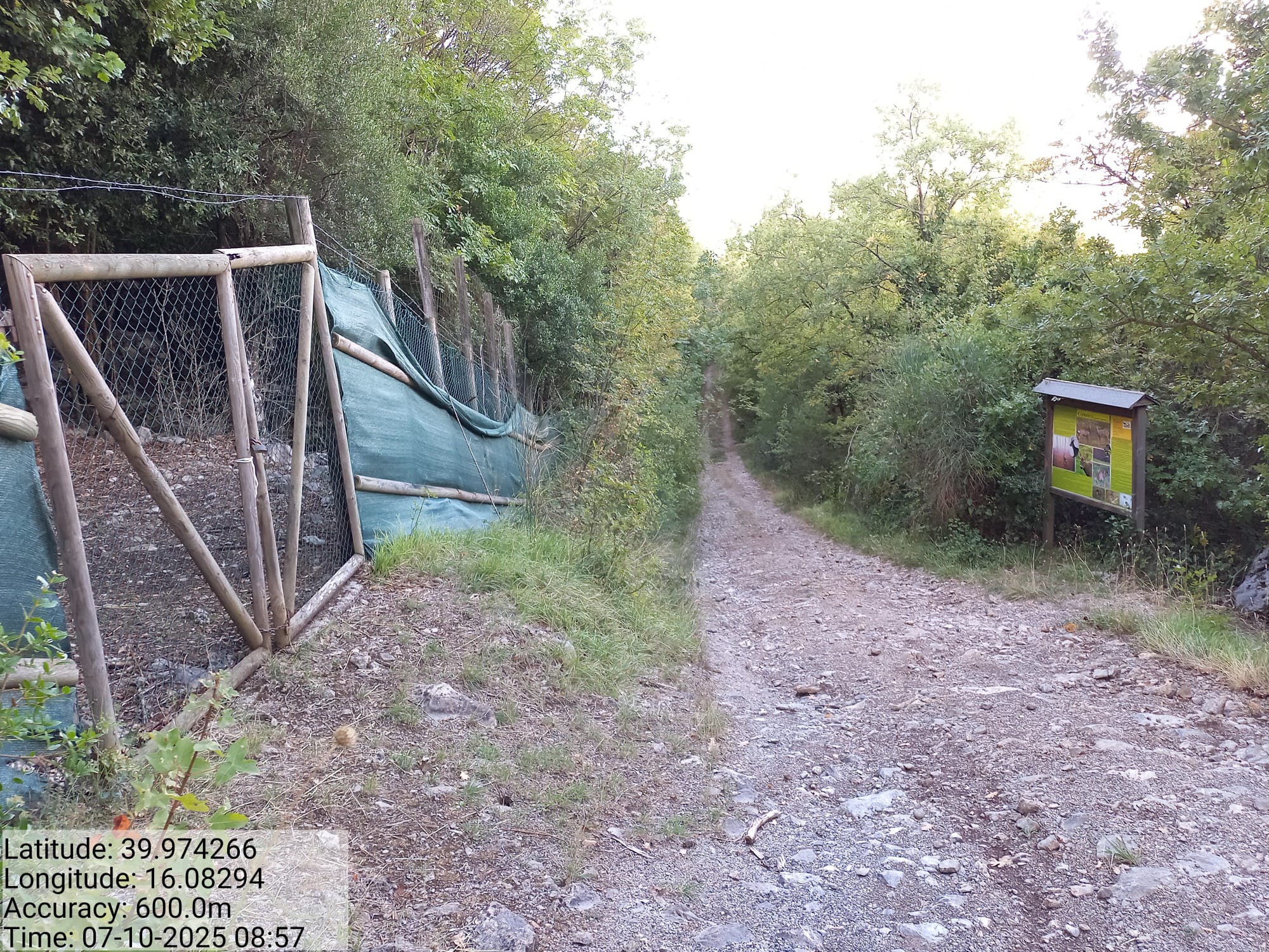 Galleria Fotografica Immagine