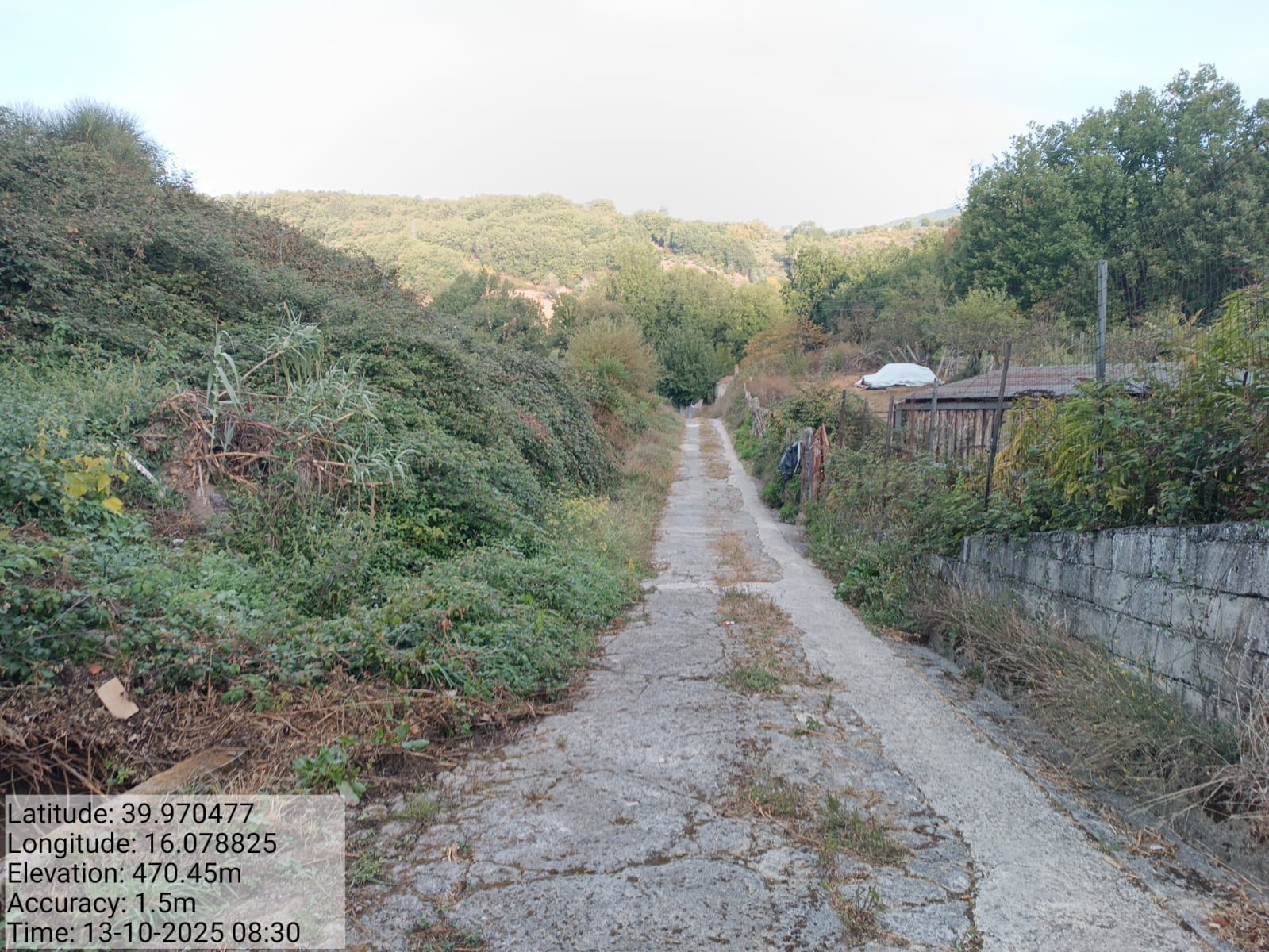 Galleria Fotografica Immagine