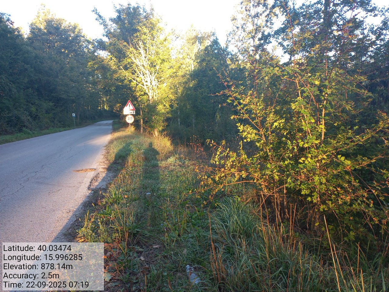 Galleria Fotografica Immagine