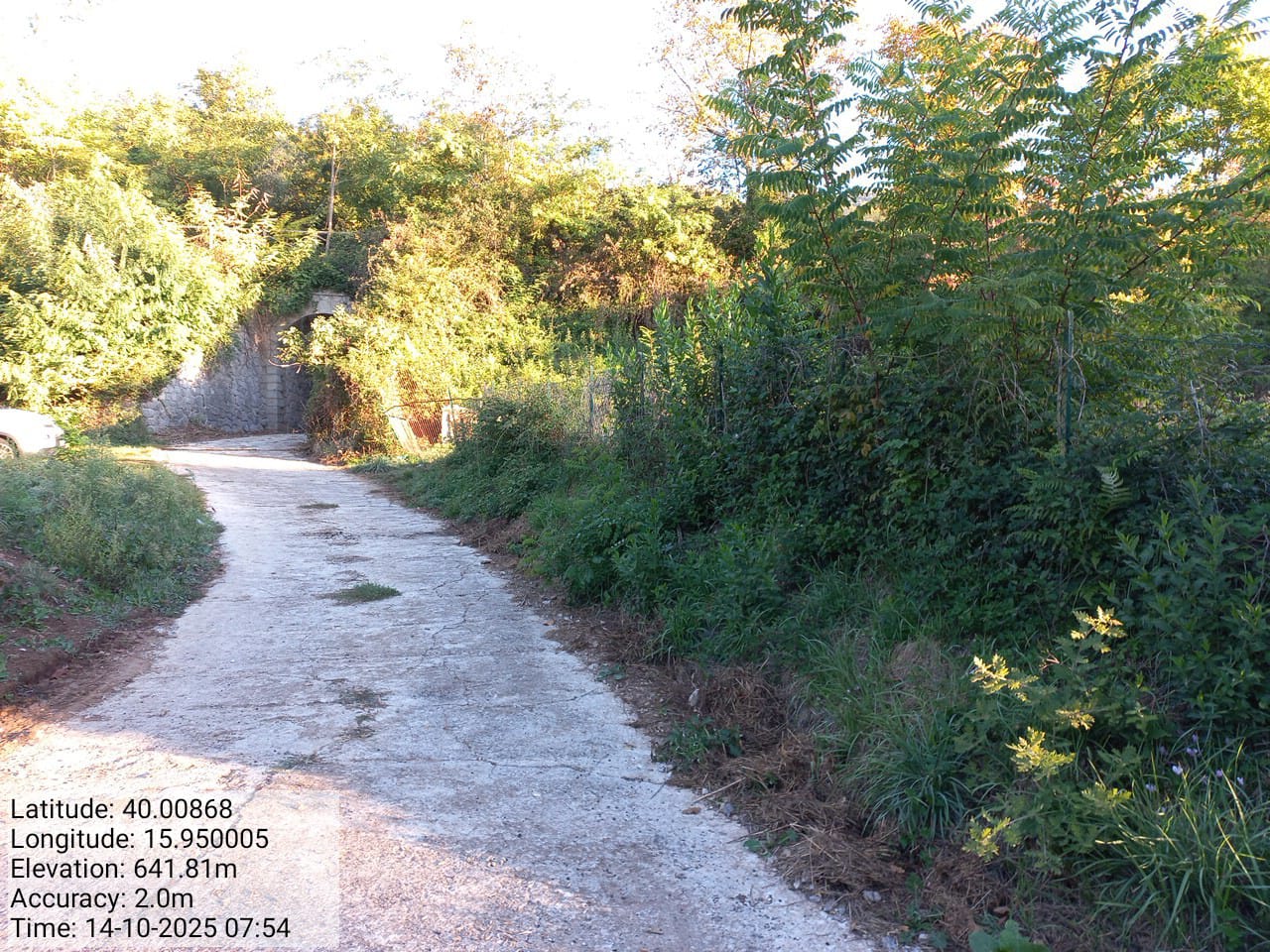 Galleria Fotografica Immagine