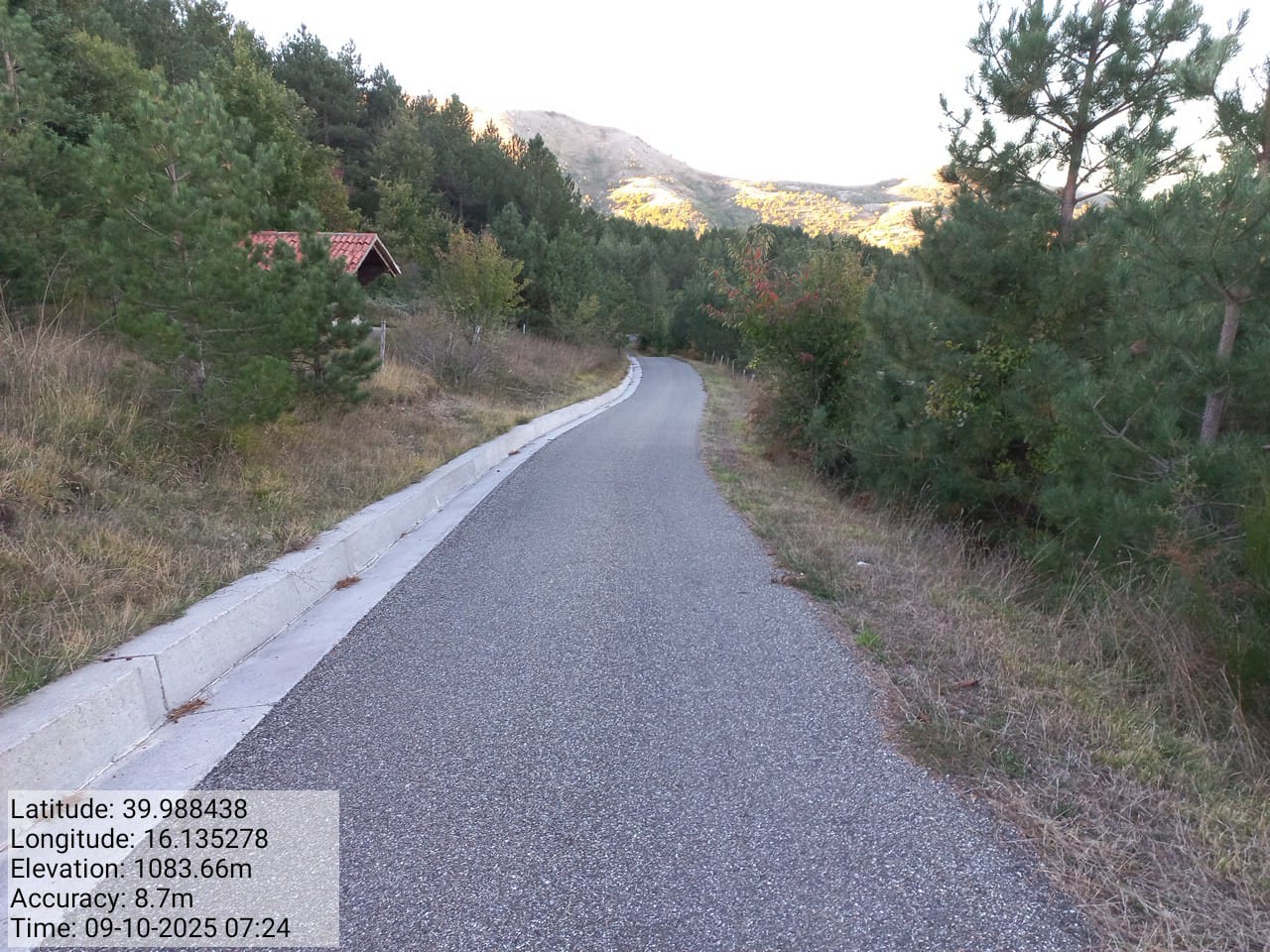 Galleria Fotografica Immagine