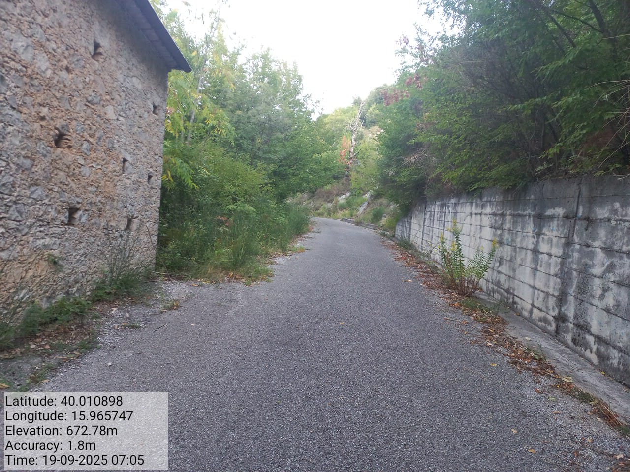 Galleria Fotografica Immagine