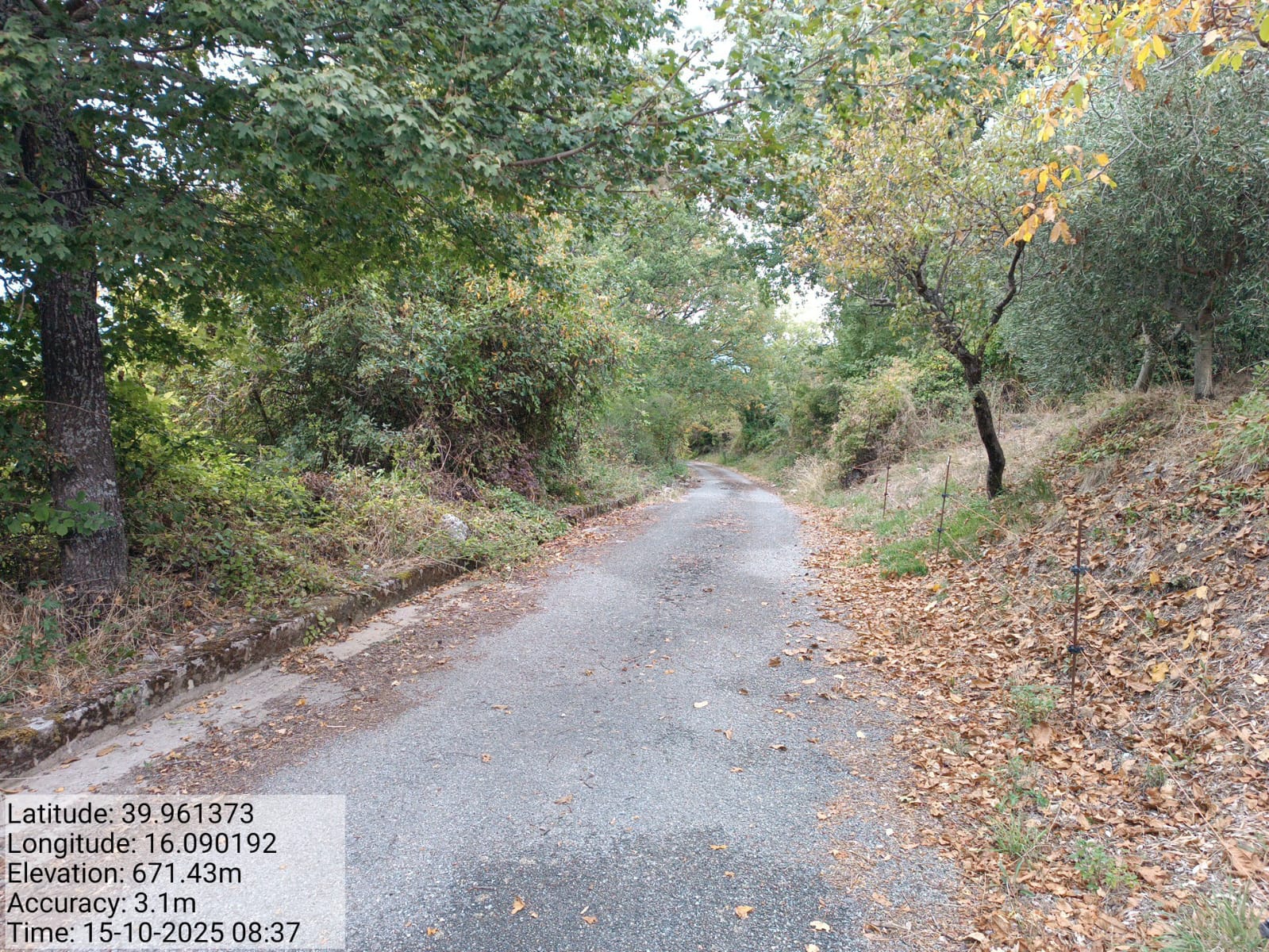 Galleria Fotografica Immagine