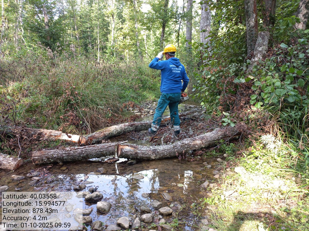 Galleria Fotografica Immagine