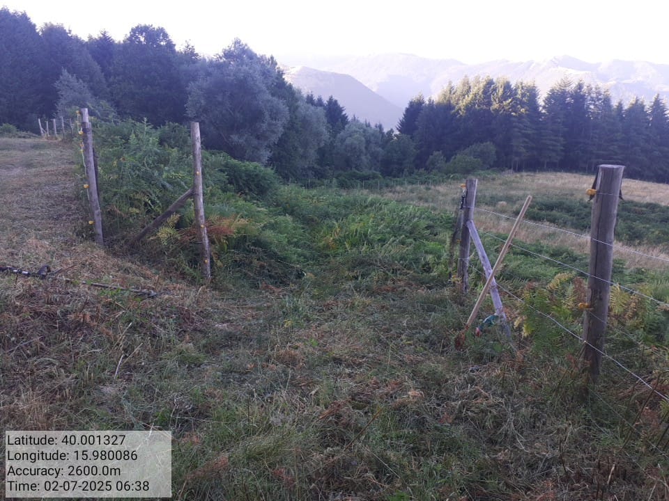 Galleria Fotografica Immagine