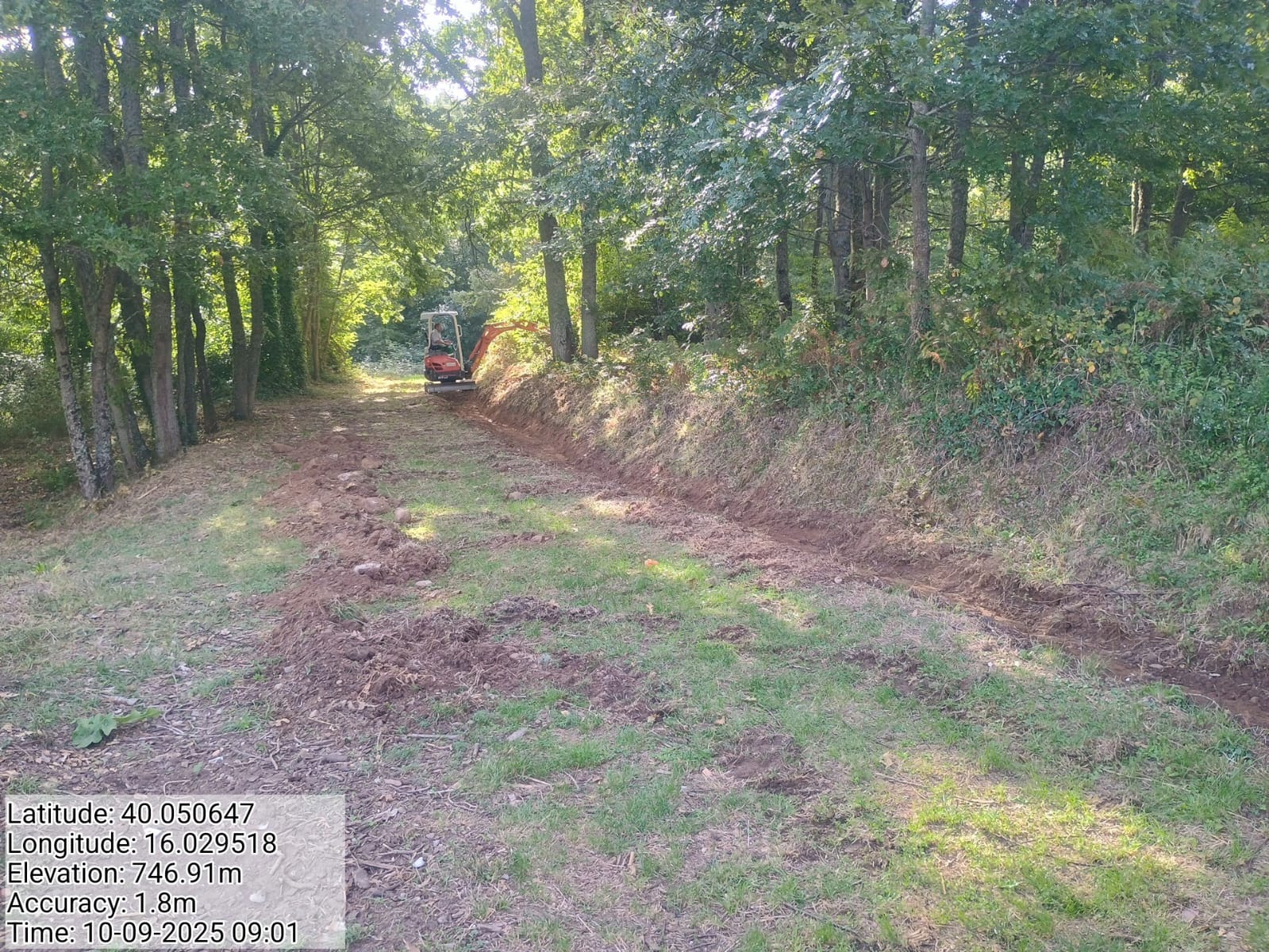 Galleria Fotografica Immagine