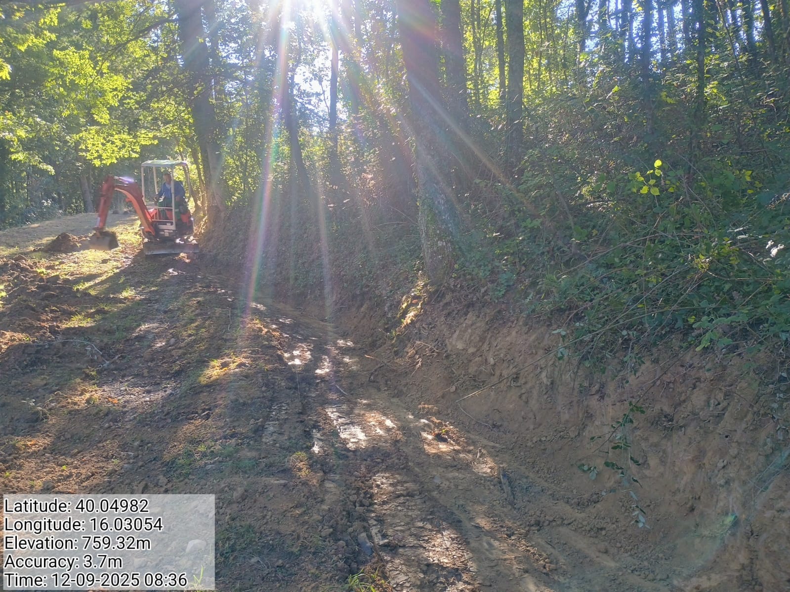 Galleria Fotografica Immagine