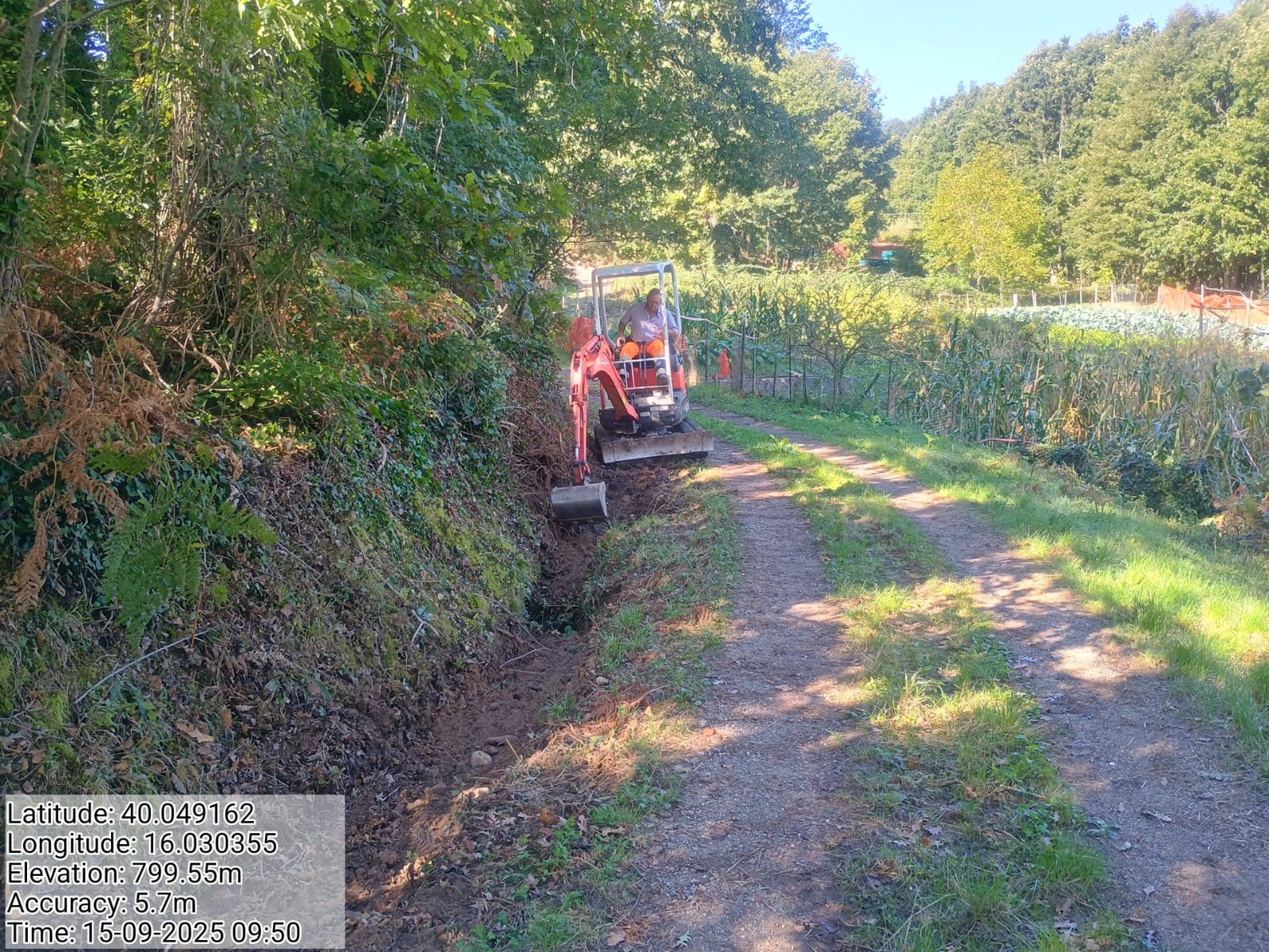 Galleria Fotografica Immagine