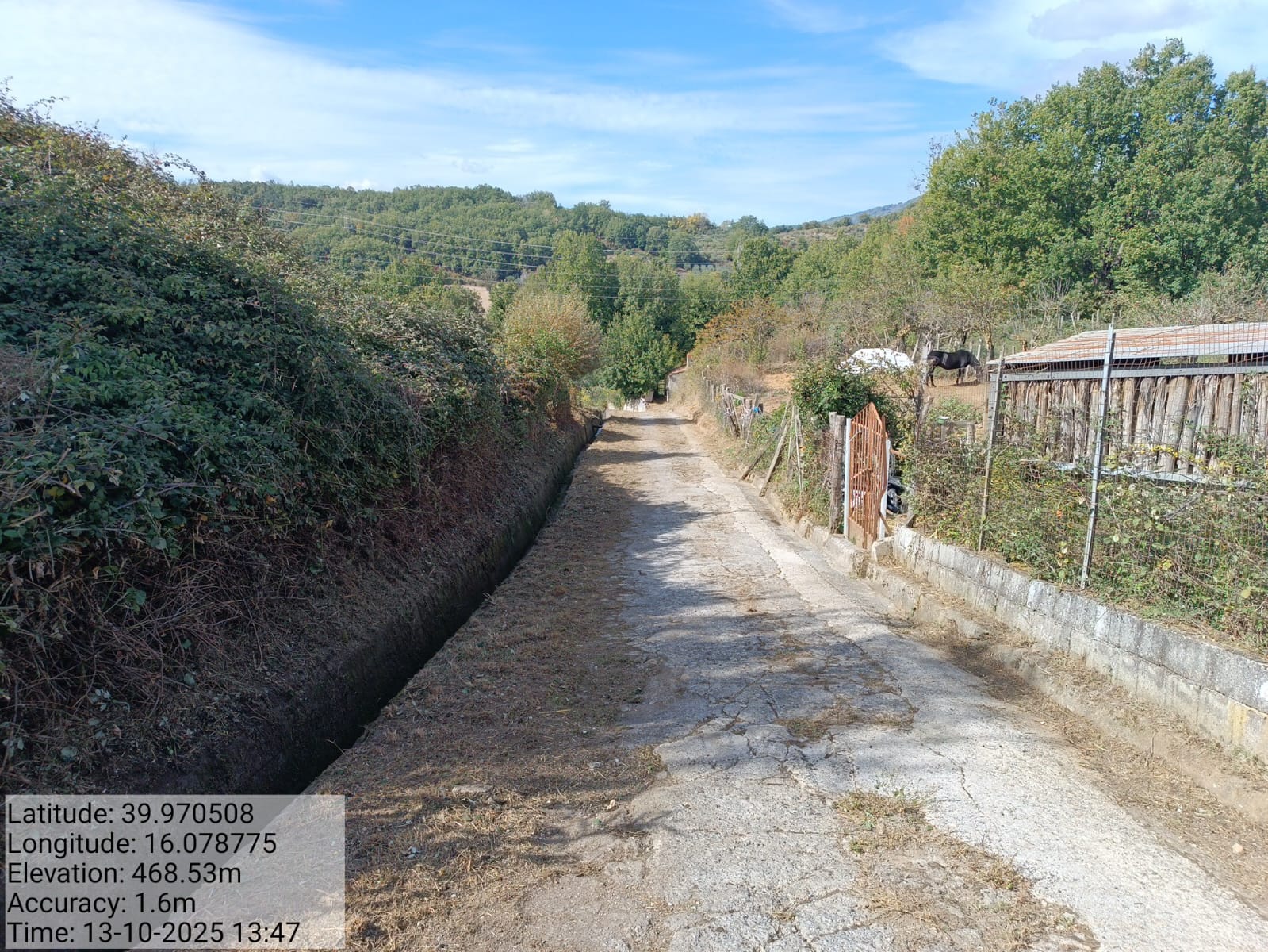 Galleria Fotografica Immagine