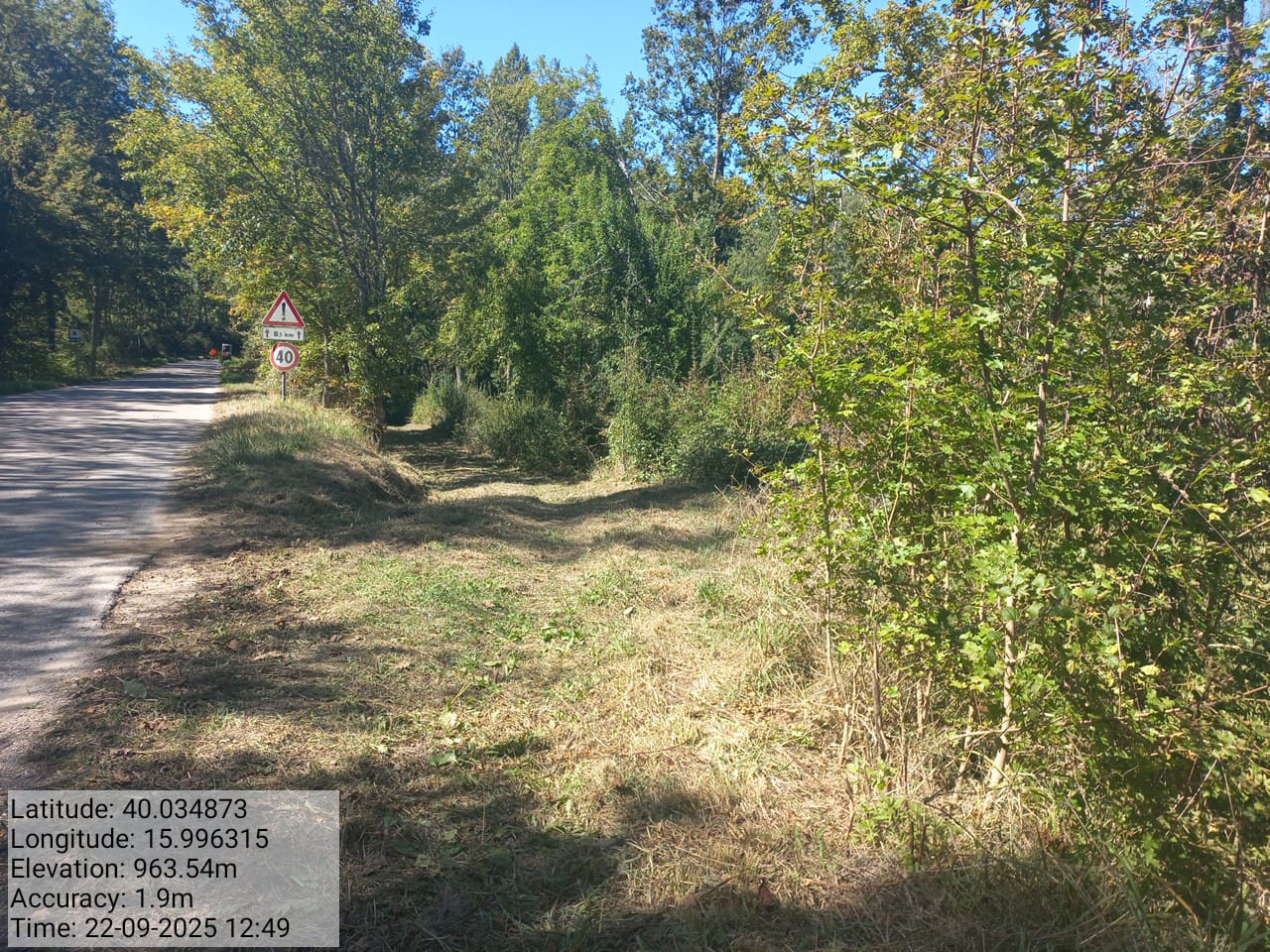 Galleria Fotografica Immagine