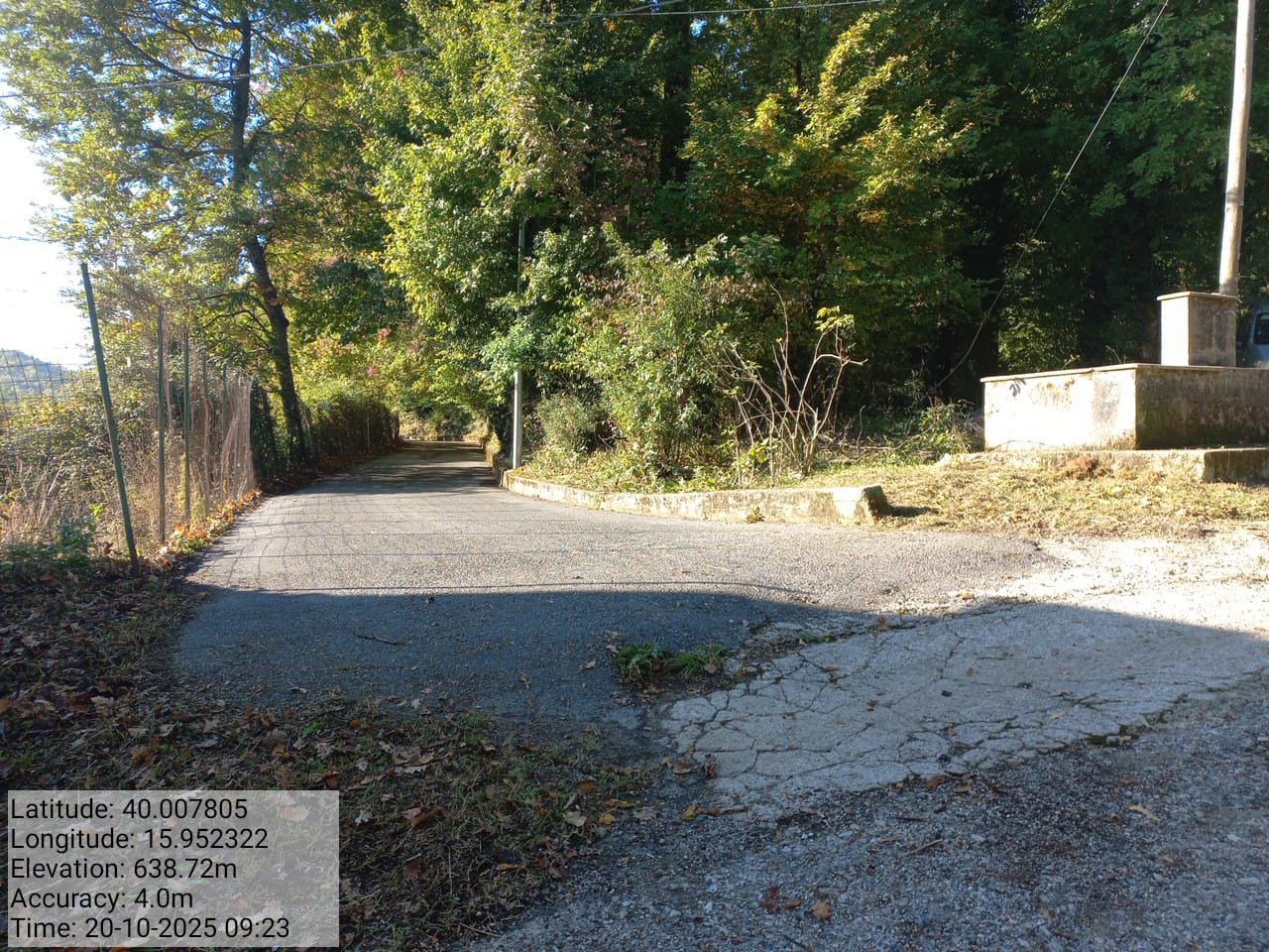 Galleria Fotografica Immagine