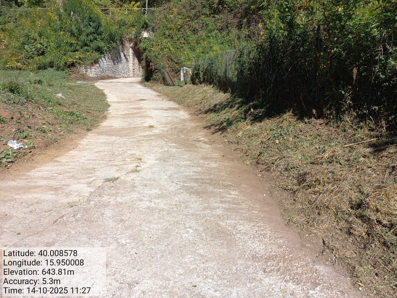 Galleria Fotografica Immagine