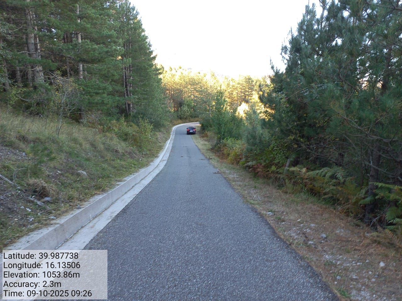 Galleria Fotografica Immagine