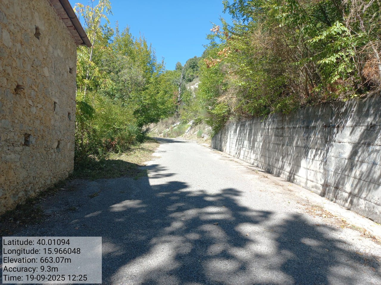 Galleria Fotografica Immagine