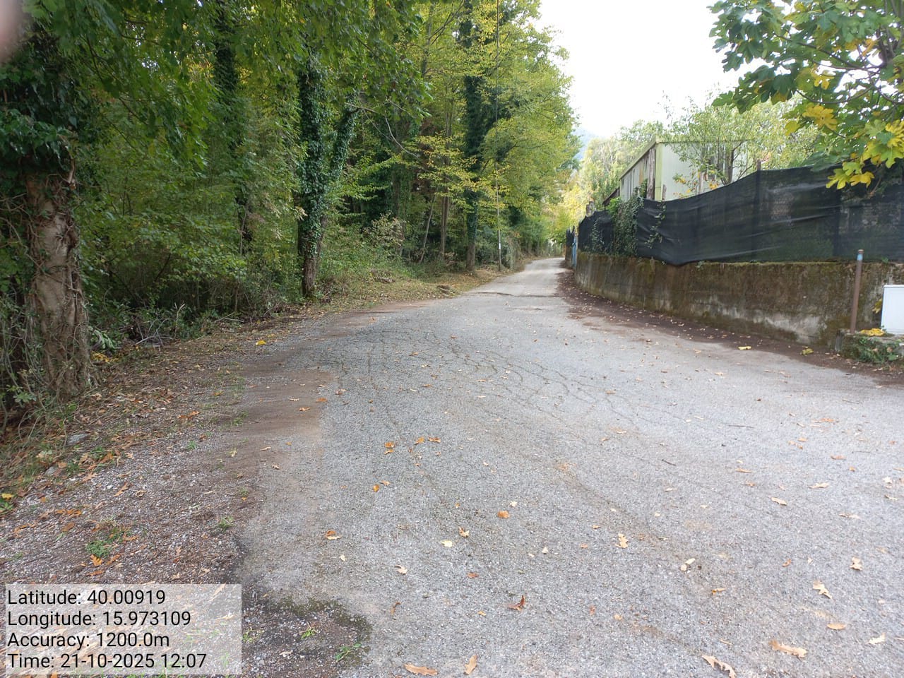 Galleria Fotografica Immagine