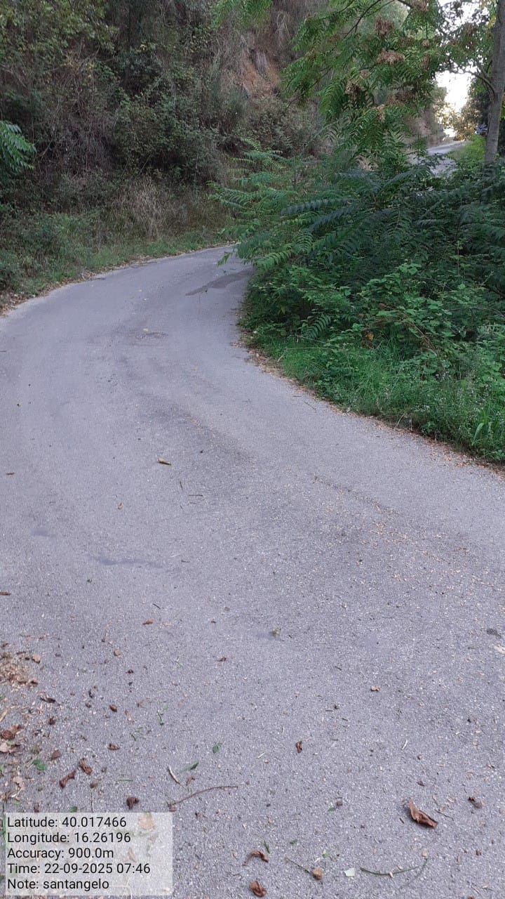 Galleria Fotografica Immagine