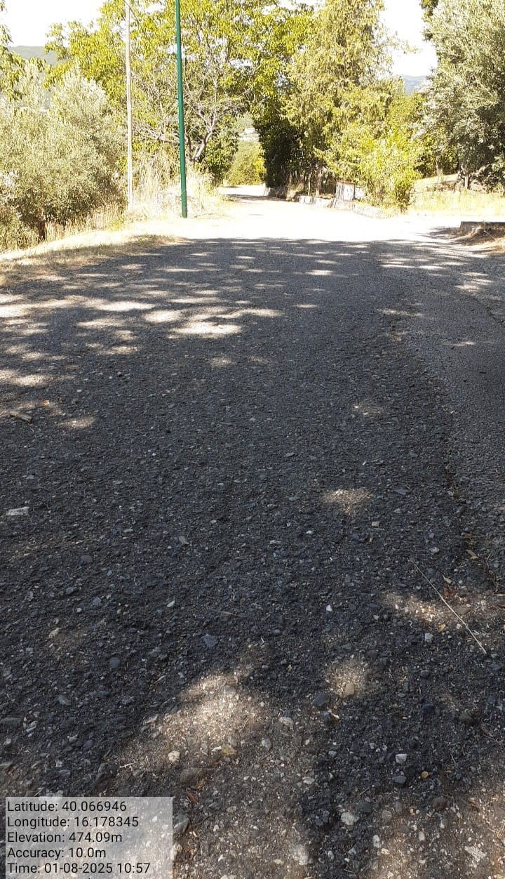 Galleria Fotografica Immagine