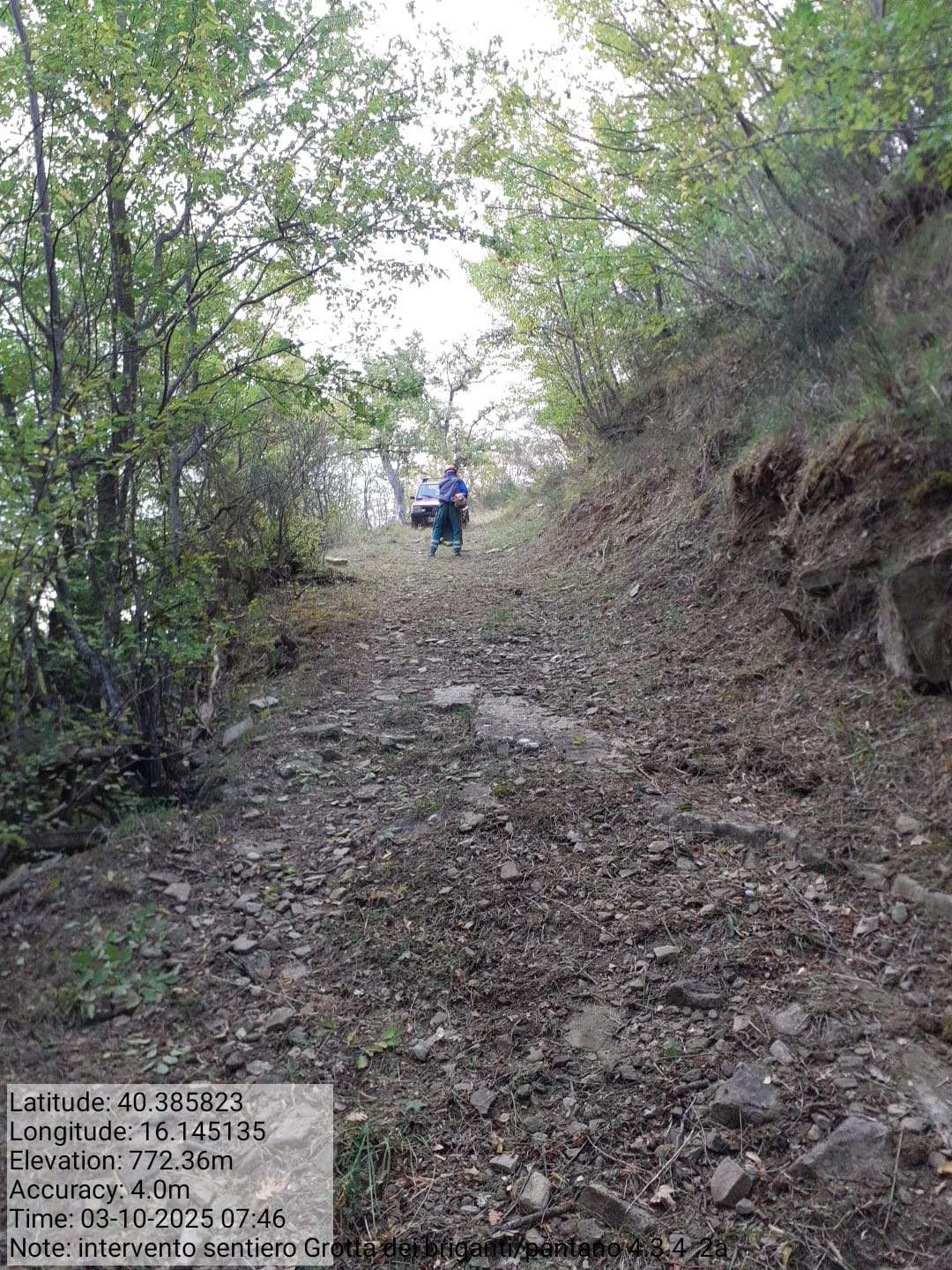 Galleria Fotografica Immagine