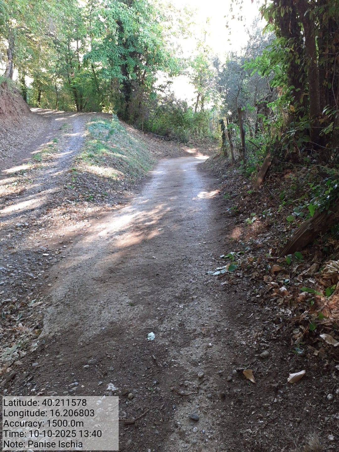 Galleria Fotografica Immagine