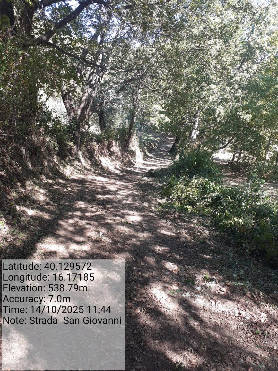 Galleria Fotografica Immagine