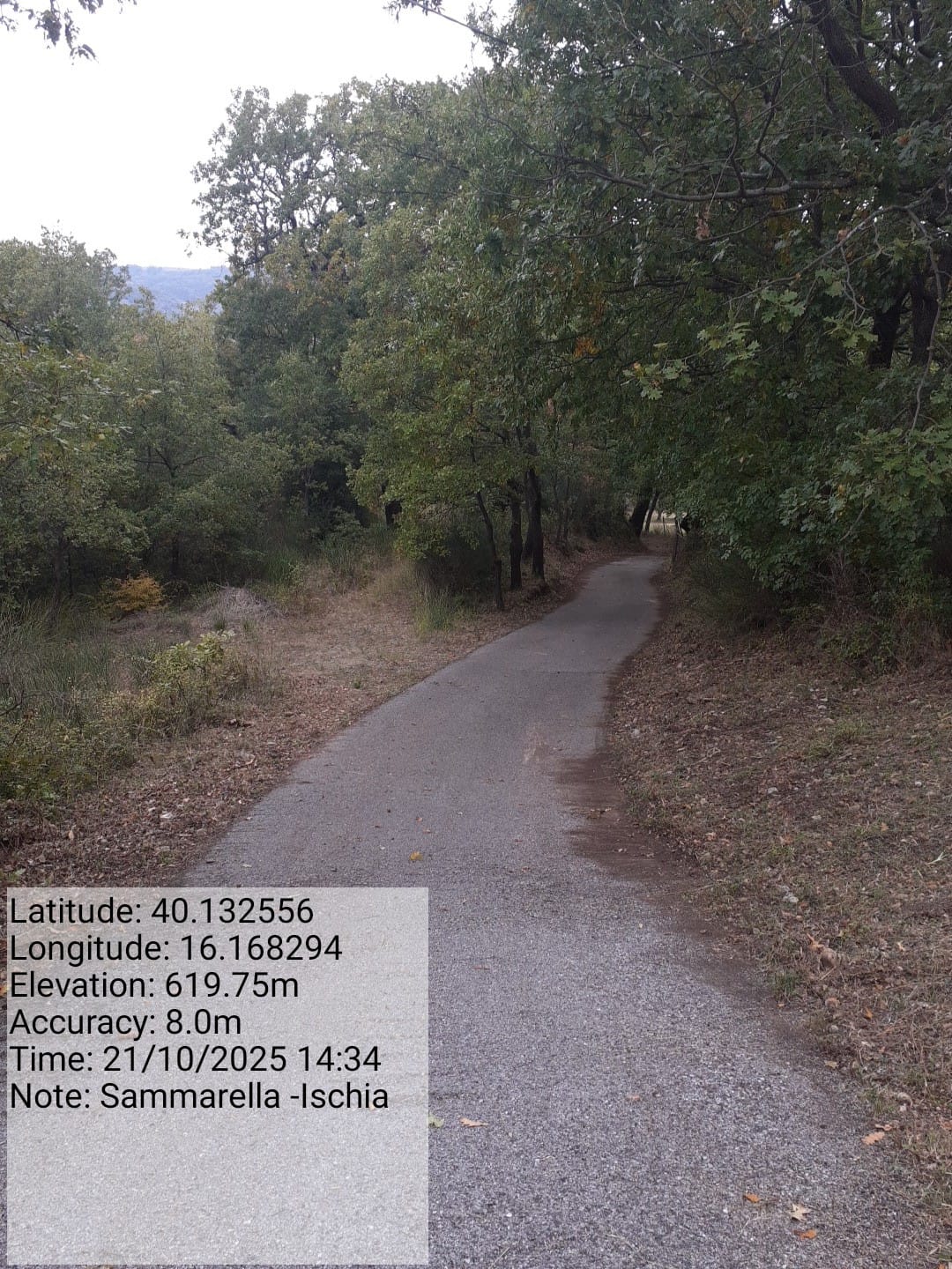 Galleria Fotografica Immagine