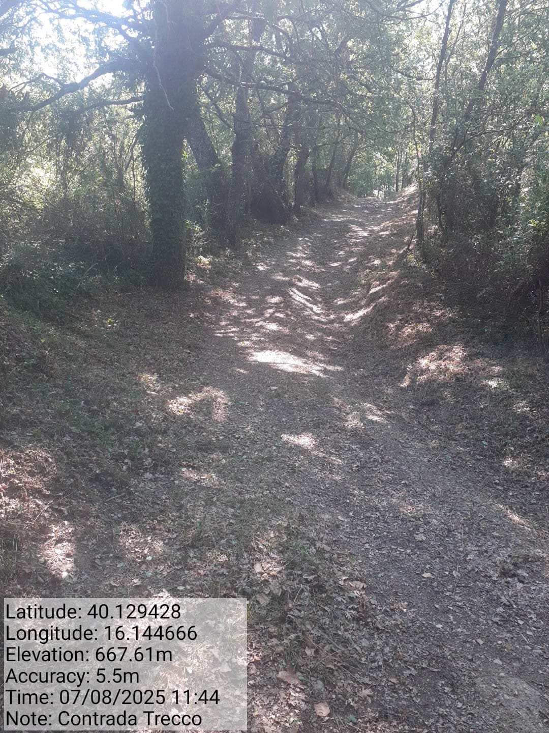 Galleria Fotografica Immagine